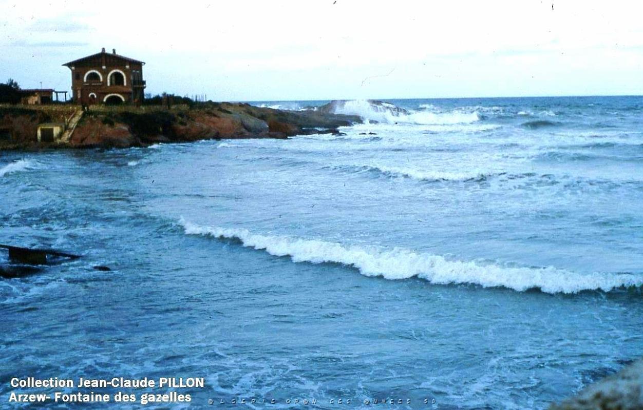 Arzew 188- Pillon.jpg